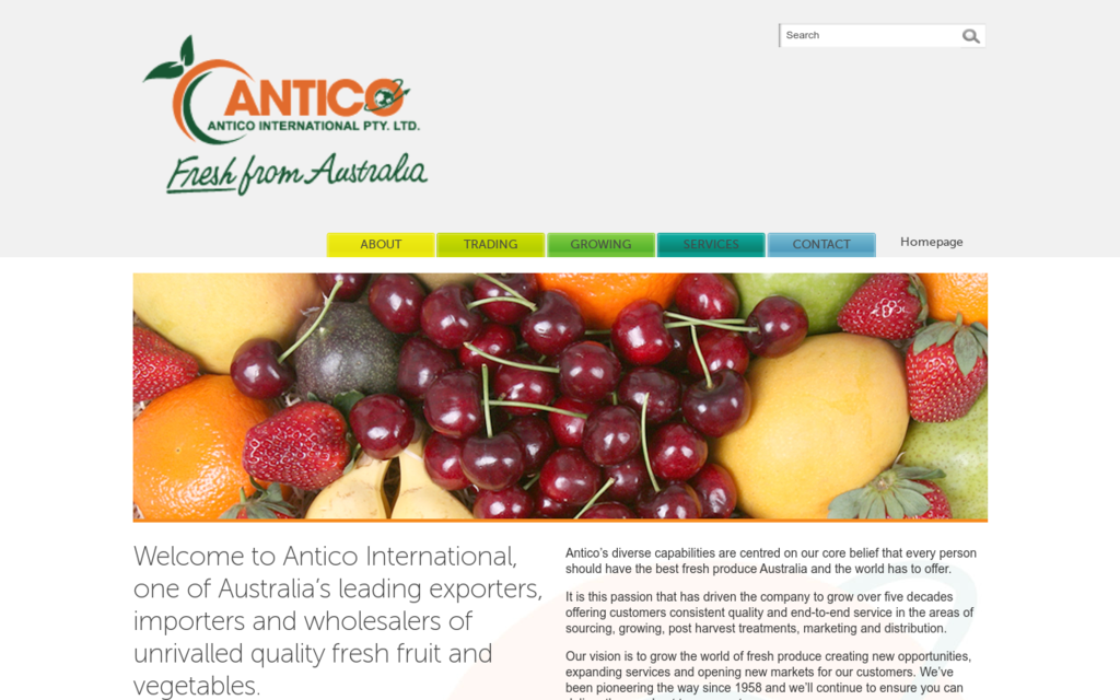 Antico International